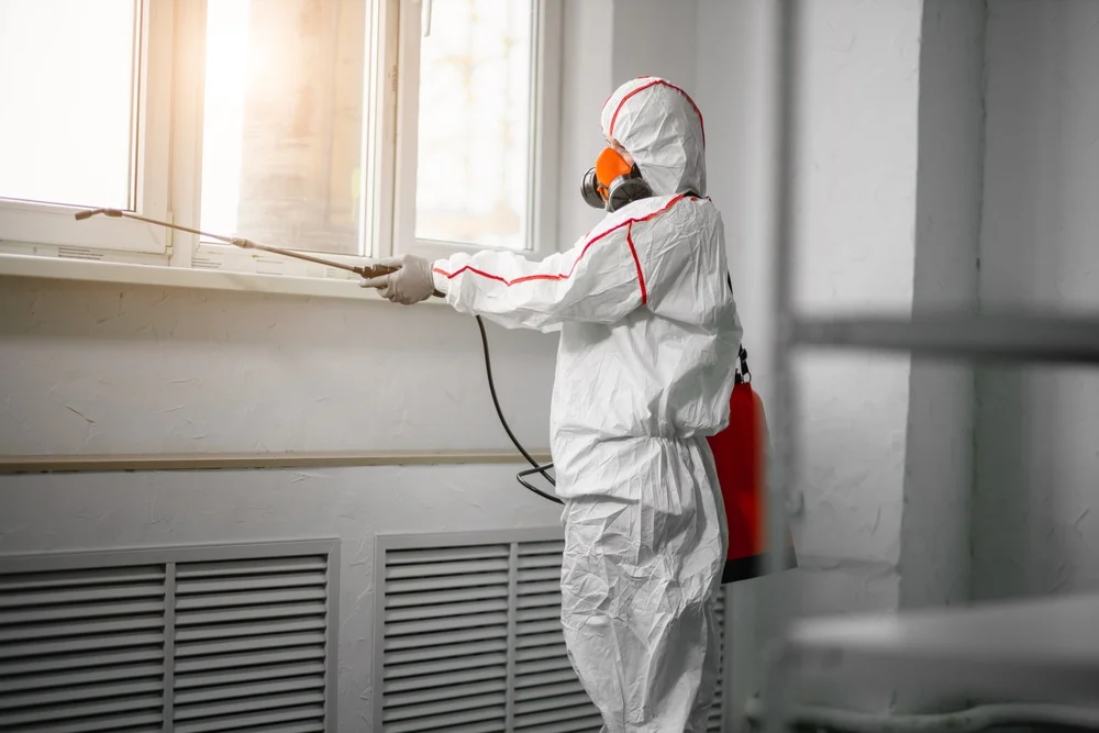Professional mold remediation services in Fraser, MI